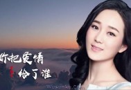 王强&龙梅子《你把爱情给了谁》[无损flac]网盘下载