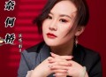 影子《奈何桥》[无损flac|320K高品质MP3]网盘下载