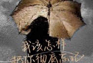 李乐乐《我该怎样把你彻底忘记》[无损flac|320K高品质MP3]网盘下载