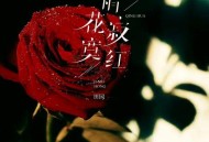 田园《情花寂寞红》[FLAC/MP3-320K]网盘下载