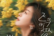 夏城南《飞鸟衔微风》[FLAC/MP3-320K]网盘下载