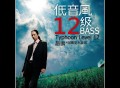 赵鹏2008年专辑《低音风12级》[FLAC/MP3-320K]网盘下载