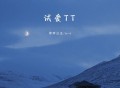 菲菲公主、pro《试爱TT》[FLAC/MP3-320K]网盘下载