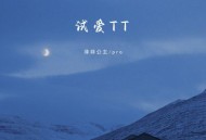 菲菲公主、pro《试爱TT》[FLAC/MP3-320K]网盘下载