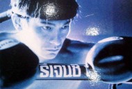 刘德华2000年专辑《心蓝》[无损flac]网盘下载