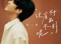 赵一博《这有什么不好呢》[无损flac|320K高品质MP3]网盘下载