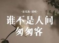 安儿陈《谁不是人间匆匆客》[FLAC/MP3-320K]网盘下载