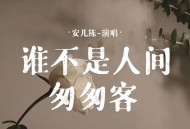 安儿陈《谁不是人间匆匆客》[FLAC/MP3-320K]网盘下载