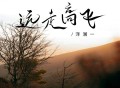 洋澜一《远走高飞》[FLAC/MP3-320K]网盘下载