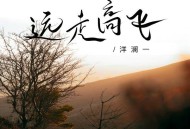 洋澜一《远走高飞》[FLAC/MP3-320K]网盘下载