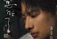 海来阿木《我想你了》[FLAC/MP3-320K]网盘下载