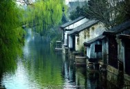 柴愷能&杨冰心《红尘烟雨中》[无损flac]网盘下载