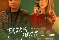 燕宝儿、烟圈蔓延《妹妹的泪花花（燕圈对唱版）》[FLAC/MP3-320K]网盘下载