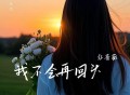 红蔷薇《我不会再回头》[FLAC/MP3-320K]网盘下载