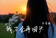红蔷薇《我不会再回头》[FLAC/MP3-320K]网盘下载