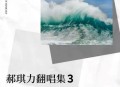 郝琪力2024年翻唱专辑《郝琪力翻唱集3》[无损flac|320K高品质MP3]网盘下载