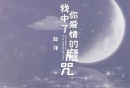 赵洋《我中了你爱情的魔咒》[无损flac|320K高品质MP3]网盘下载