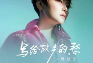 魏佳艺《写给故乡的愁》[FLAC/MP3-320K]网盘下载