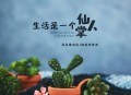 耳朵便利店、格雷西西西《生活是一个仙人掌》[无损flac|320K高品质MP3]网盘下载