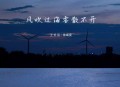 王忻辰、徐靖雯《风吹过海雾散不开》[无损flac|320K高品质MP3]网盘下载