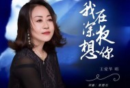 王爱华《我在深夜想你》[FLAC/MP3-320K]网盘下载