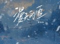夏婉安《漫天的雪》[无损FLAC|320K高品质MP3]网盘下载