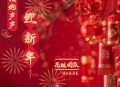 花姐《鞭炮声声迎新年》[无损flac]网盘下载