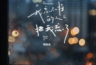 黄静美《我忘不掉的人把我忘了》[FLAC/MP3-320K]网盘下载