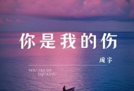 周宇《你是我的伤》[FLAC/MP3-320K]网盘下载