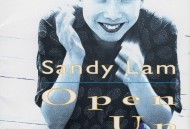 林忆莲1995年专辑《OPEN UP》[无损flac|320K高品质MP3]网盘下载