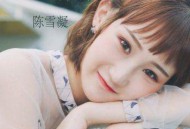 陈雪凝《那个傻瓜》[无损flac]网盘下载