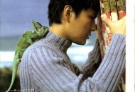 张信哲1997年专辑《直觉》[无损flac]网盘下载