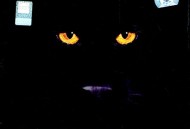 黑豹乐队2004年专辑《黑豹V》[FLAC/MP3-320K]网盘下载