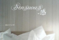 关淑怡2008年专辑《感》[无损FLAC|320K高品质MP3]网盘下载