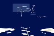 Joysaaaa《所以呢》[FLAC/MP3-320K]网盘下载