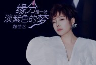 魏佳艺《缘分是一场淡紫色的梦》[无损flac]网盘下载