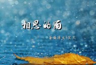蔷薇团长、笑天《相思的雨》[FLAC/MP3-320K]网盘下载