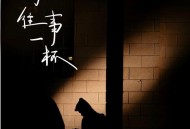 张艺迈、洋澜一《敬往事一杯》[FLAC/MP3-320K]网盘下载