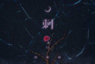 周林枫《刺》[FLAC/MP3-320K]网盘下载