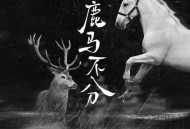 六仔哥《鹿马不分》[无损flac|320K高品质MP3]网盘下载