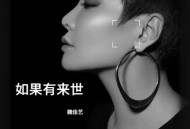 魏佳艺《如果有来世》[无损flac|320K高品质MP3]网盘下载
