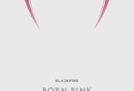 BORN PINK2022年专辑《BORN PINK》[无损flac]网盘下载