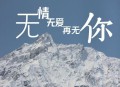 赵洋《无情无爱再无你》[无损flac|320K高品质MP3]网盘下载