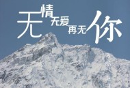 赵洋《无情无爱再无你》[无损flac|320K高品质MP3]网盘下载