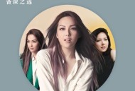 卫兰演唱会备课之选[无损FLAC|320K高品质MP3]网盘下载