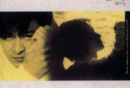 刘德华1991年专辑《爱不完》[无损flac|320K高品质MP3]网盘下载