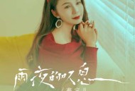 燕宝儿《雨夜的叹息》[FLAC/MP3-320K]网盘下载