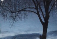 陈立农《这晚风》[无损flac]网盘下载