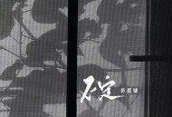 苏星婕《不定》[FLAC/MP3-320K]网盘下载