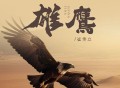 崔伟立《雄鹰》[FLAC/MP3-320K]网盘下载